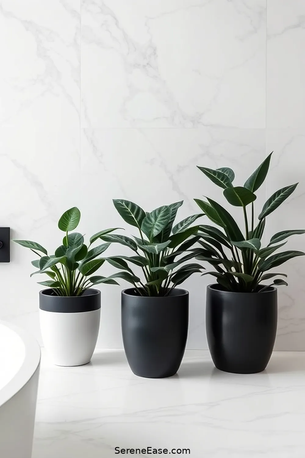 17 Stunning Ideas for a Black and White Minimalist Bathroom Style 18 Monochrome Plants and Greenery for 17 Stunning Ideas for a Black and White Minimalist Bathroom Style