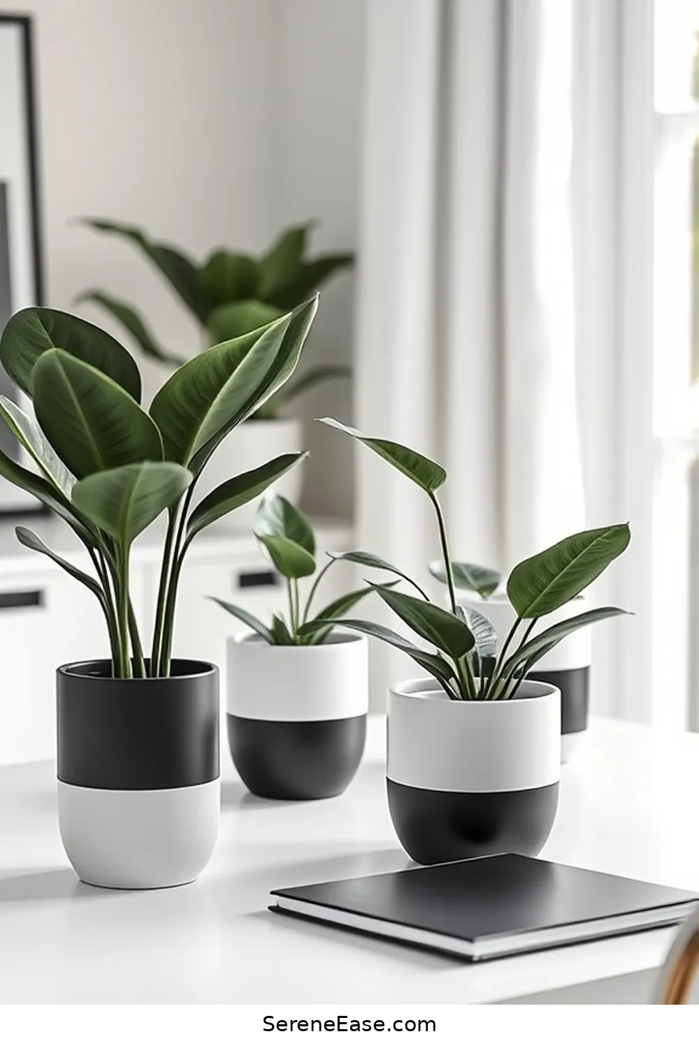 19 Chic Ways to Incorporate Black and White in Your Coastal Home Office Style 19 Creative Use of Monochrome Plants for 19 Chic Ways to Incorporate Black and White in Your Coastal Home Office Style