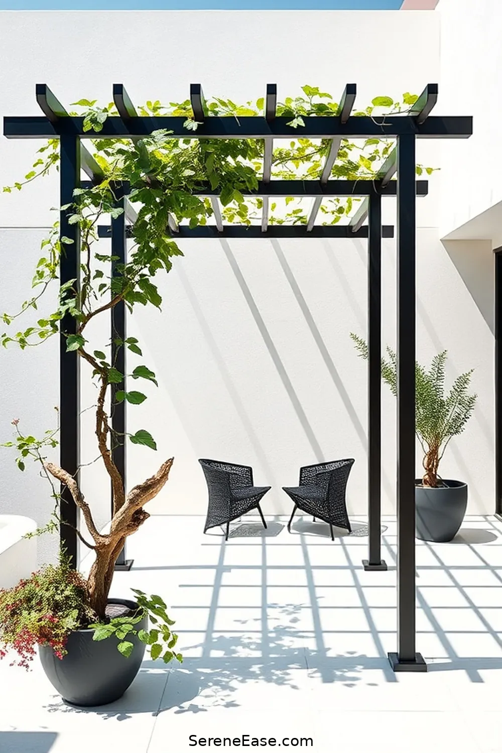 22 Ways to Achieve Black and White Outdoor Minimalist Patio Style 20 Install a Black and White Trellis for 22 Ways to Achieve Black and White Outdoor Minimalist Patio Style