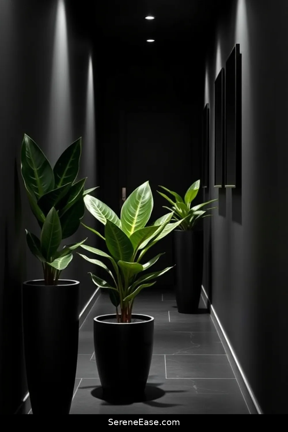 25 Ways to Achieve Black and White Industrial Style in Your Hallway 22 Add Potted Plants in Black Containers for 25 Ways to Achieve Black and White Industrial Style in Your Hallway